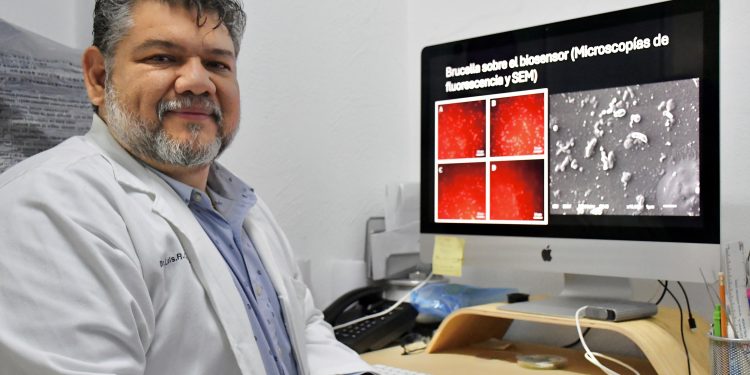 Investigador de la Facultad de Ciencias Biológicas desarrolla biosensores para detectar bacterias patógenas y toxinas