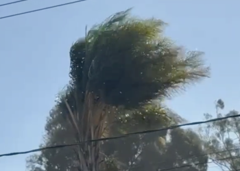 Gobierno Municipal emite recomendaciones ante presencia de ráfagas de viento en la capital poblana