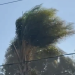 Gobierno Municipal emite recomendaciones ante presencia de ráfagas de viento en la capital poblana