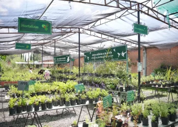 Gobierno de Puebla y Francia presentan “EKOLOKID”; promueven turismo comunitario en infancias