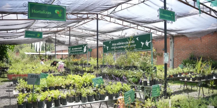 Gobierno de Puebla y Francia presentan “EKOLOKID”; promueven turismo comunitario en infancias