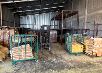 Asegura Profepa más de 20 toneladas de fibra de lechuguilla de origen ilegal en Coahuila