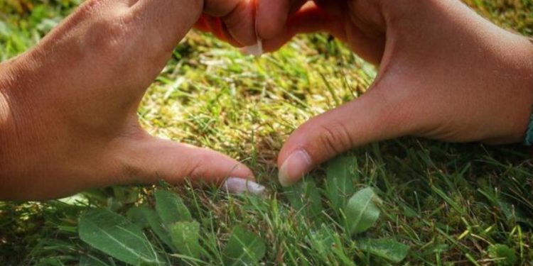 Día Mundial de Protección de la Naturaleza