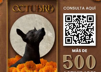 Arranca Pepe Chedraui rehabilitación vial en avenida 33 Poniente