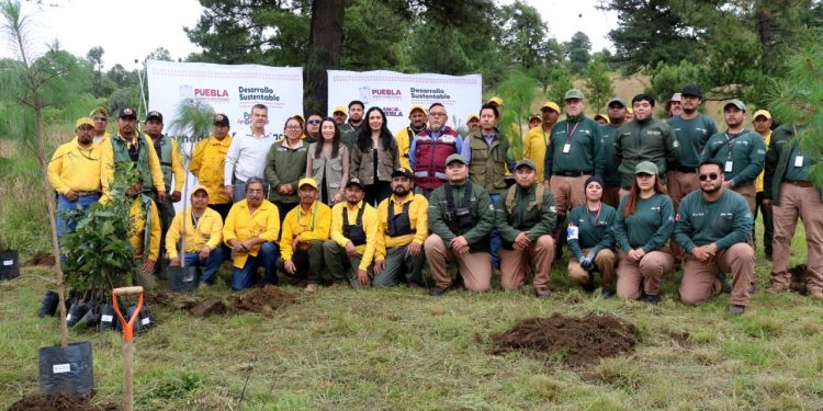Conserva gobierno estatal los bosques y la vida silvestre