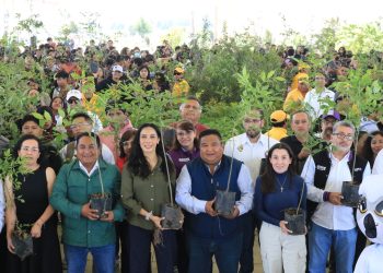 Con 1 millón 605 mil árboles, Gobierno de Puebla nutre el bosque