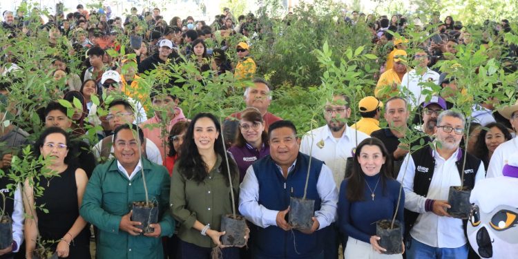 Con 1 millón 605 mil árboles, Gobierno de Puebla nutre el bosque
