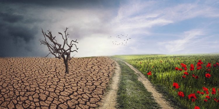 Día Internacional contra el Cambio Climático