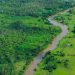 La deforestación mundial se ralentiza, pero los bosques siguen bajo presión