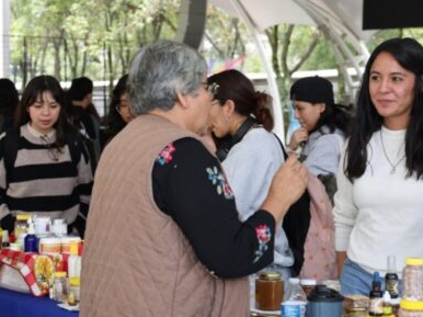 Abejas, agentes esenciales para el equilibrio de la vida en el planeta