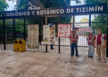 Clausura Profepa el Zoológico La Reina, de Tizimín, por faltas al trato digno y respetuoso de diversos ejemplares