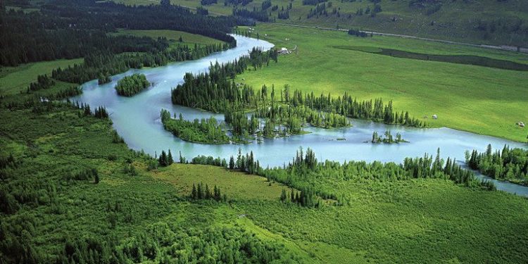China logra mejorar la calidad del aire, pero los incendios forestales en otros países contrarrestan el logro