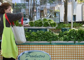 Once chefs de América Latina se unen a la ONU para combatir el desperdicio de alimentos