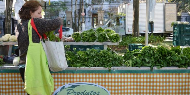 Once chefs de América Latina se unen a la ONU para combatir el desperdicio de alimentos