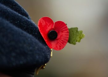 Día del Recuerdo o Día de la Amapola
