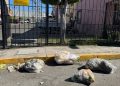 Denuncian a taquería por dejar basura en la vía pública