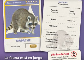 Profepa invita a convivir responsablemente con la fauna silvestre urbana