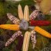 “Feria Nacional de la Agrobiodiversidad” en el Ejido Unión Zapata, Oaxaca