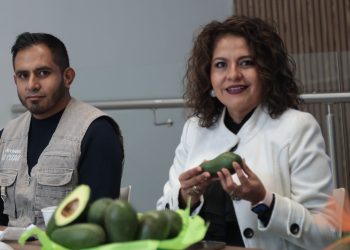 Promueven en el Congreso del Estado la Feria del Aguacate, a realizarse en Atlixco 
