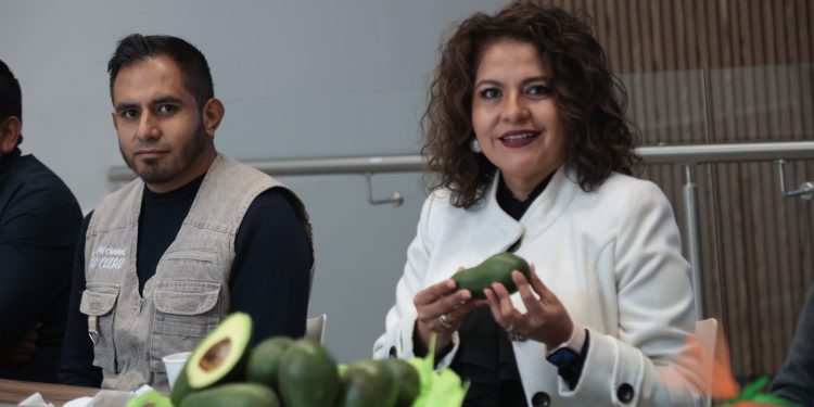 Promueven en el Congreso del Estado la Feria del Aguacate, a realizarse en Atlixco 