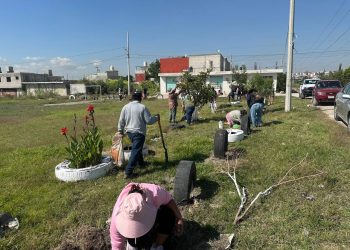Fortalece Gobierno de la Ciudad acciones de reforestación con 2 mil 600 árboles