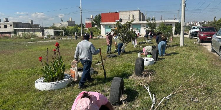 Fortalece Gobierno de la Ciudad acciones de reforestación con 2 mil 600 árboles