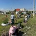 Fortalece Gobierno de la Ciudad acciones de reforestación con 2 mil 600 árboles