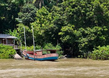 En la isla brasileña de Combu, los fabricantes de chocolate tienen la clave para la acción climática