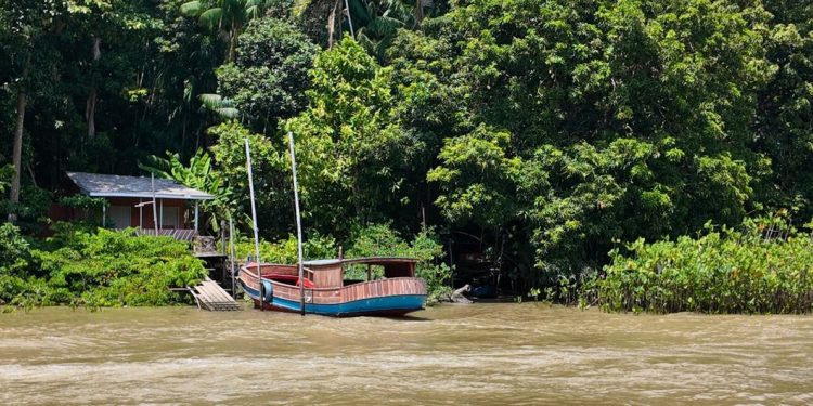 En la isla brasileña de Combu, los fabricantes de chocolate tienen la clave para la acción climática
