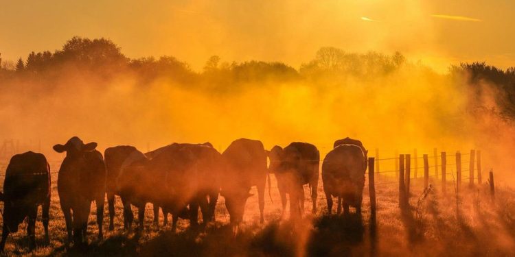 El 2025 se perfila como el segundo o tercer año más cálido en los registros