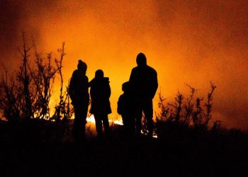 El calentamiento, los incendios y las plagas amenazan los bosques