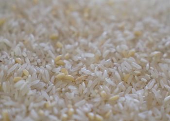 La producción mundial de alimentos alcanza niveles récord, pero persisten los riesgos climáticos