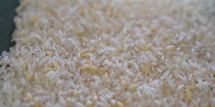 La producción mundial de alimentos alcanza niveles récord, pero persisten los riesgos climáticos