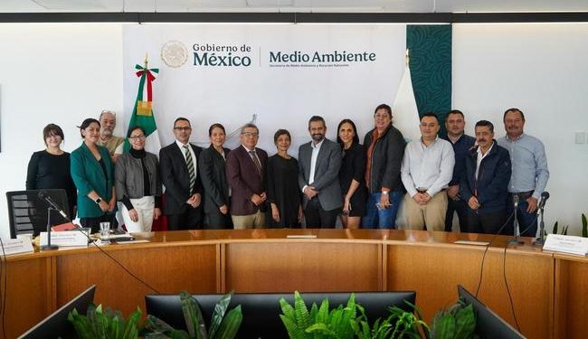 México y la Organización Internacional de las Maderas Tropicales fortalecen cooperación en materia forestal