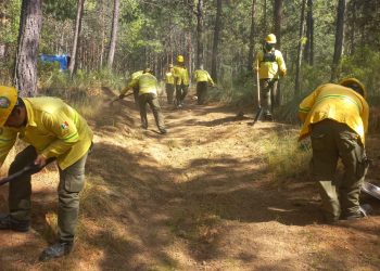 Brigadas de prevenci´ón de incendios forestales en el Estado de Tlaxcala
