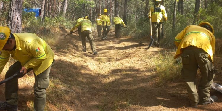 Brigadas de prevenci´ón de incendios forestales en el Estado de Tlaxcala