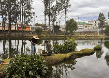 BUAP consolida su liderazgo en sostenibilidad en el Ranking UI GreenMetric 2025