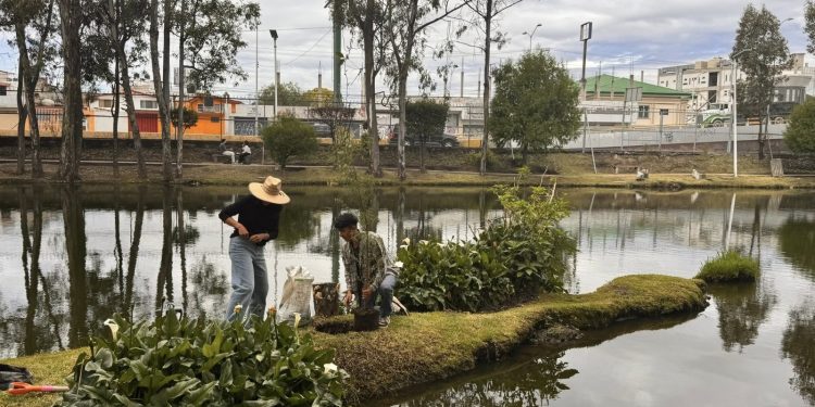 BUAP consolida su liderazgo en sostenibilidad en el Ranking UI GreenMetric 2025