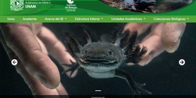 UNAM, enfocada a contar con campus sostenibles