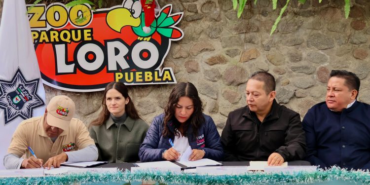 Fortalece San Andrés Cholula atención de emergencias mediante convenio con Parque Loro Puebla