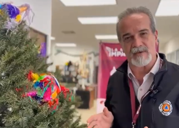 Gobierno de la Ciudad emite recomendaciones para una instalación segura del árbol de navidad