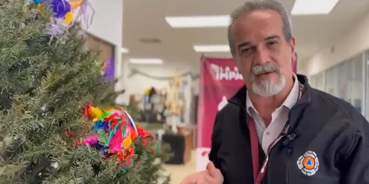 Gobierno de la Ciudad emite recomendaciones para una instalación segura del árbol de navidad