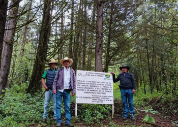 Conafor fortalece programa para la conservación de bosques