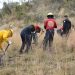 Gobierno de San Pedro Cholula refuerza la capacitación en prevención y combate de incendios forestales