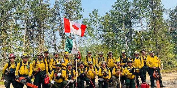 México y Canadá fortalecen cooperación en el Grupo de Trabajo sobre Bosques