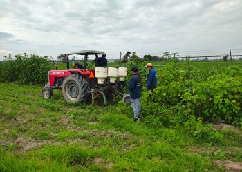 Impulsa UTH la agricultura del futuro con nueva ingeniería sustentable