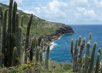 El cambio climático amenaza a 41 millones de personas en zonas costeras de América Latina y el Caribe
