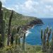 El cambio climático amenaza a 41 millones de personas en zonas costeras de América Latina y el Caribe