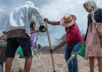 Más del 80% del empleo agrícola en América Latina carece de protección y seguridad social