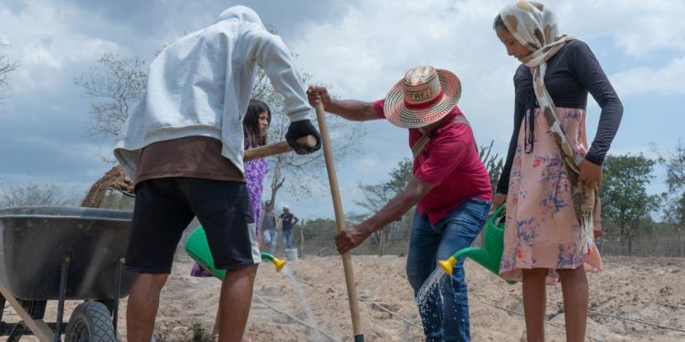 Más del 80% del empleo agrícola en América Latina carece de protección y seguridad social